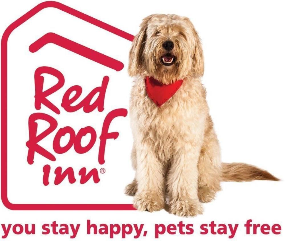 Red Roof Inn Plus+ El Paso East Bagian luar foto